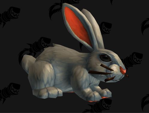 [Mascota] Conejo de Polvo